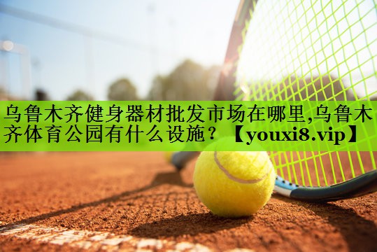 乌鲁木齐健身器材批发市场在哪里,乌鲁木齐体育公园有什么设施？