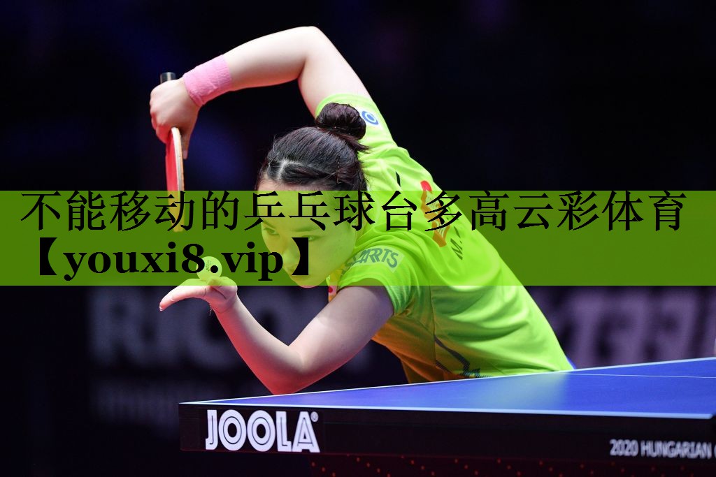 不能移动的乒乓球台多高云彩体育