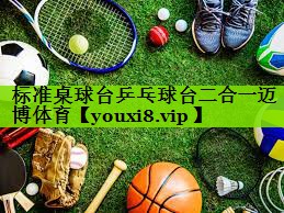 标准桌球台乒乓球台二合一迈博体育