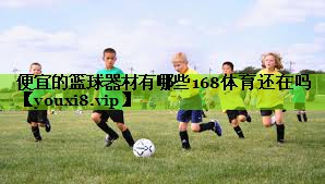 便宜的篮球器材有哪些168体育还在吗