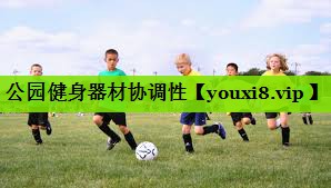公园健身器材协调性