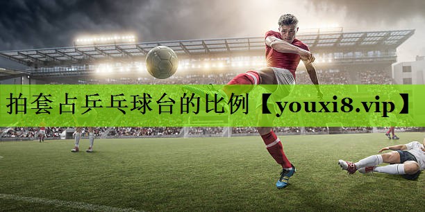 拍套占乒乓球台的比例