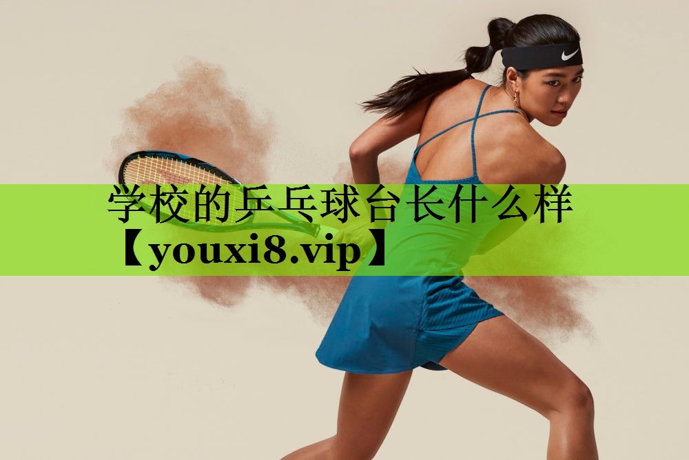 学校的乒乓球台长什么样