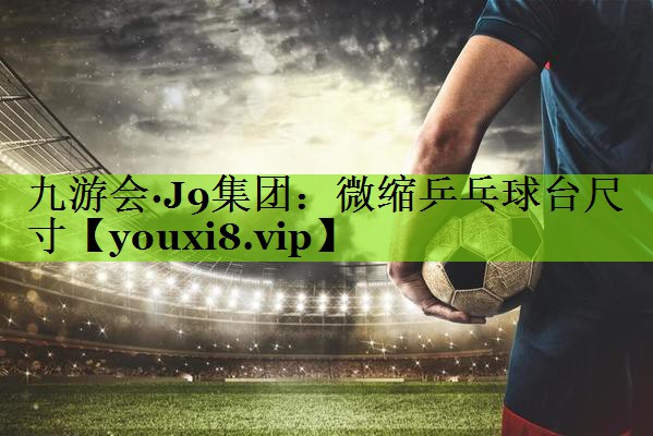 微缩乒乓球台尺寸