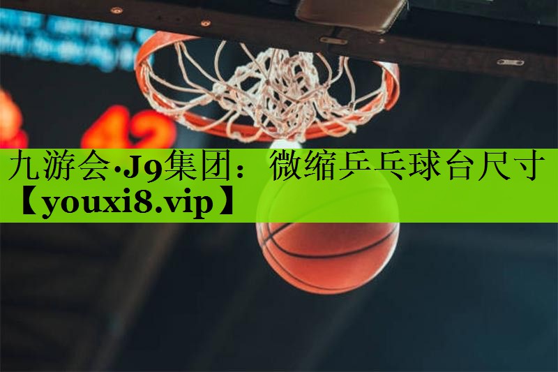 微缩乒乓球台尺寸